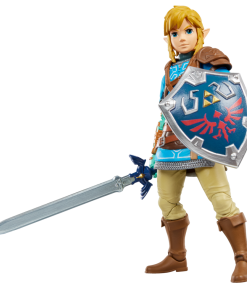 The Legend of Zelda Heroes of Hyrule Link